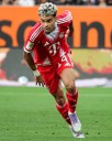 Luis Díaz cumplió en la victoria del Bayern sobre Hoffenheim