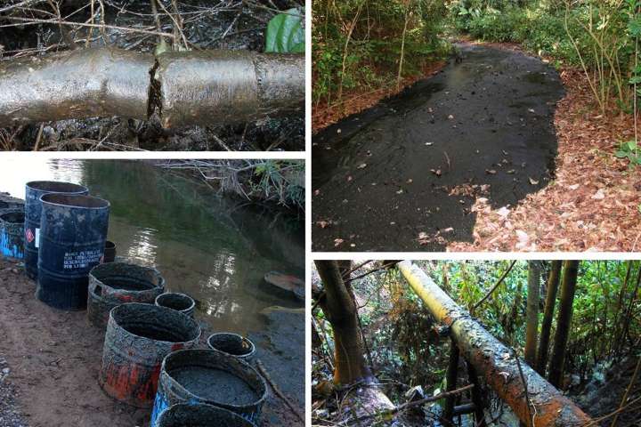 La Corte Suprema obliga el cierre y remediación de la actividad petrolera en el Parque Nacional Calilegua