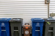 Why does nobody stop the messy midnight can collectors? (letter to the editor)
