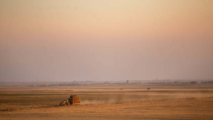 La tierra de cultivo se encarece en Castilla y León