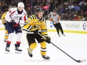 New-look Sarnia Sting eager to start OHL season | Peace River Record Gazette