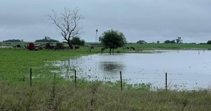 “Los campos planos están muy complicados”: excesos hídricos en el norte bonaerense y el sur santafesino
