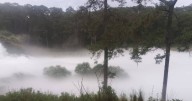 Alerta en Tlaxcala por fuga de gas: hay evacuaciones en comunidades de Nanacamilpa