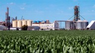 Agroindustriales tildan de “soviética” a la Ley de Biocombustibles y piden cambiarla de manera urgente