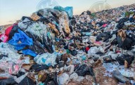 Aparece cadáver en camión recolector de basura