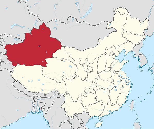 Rights advocates demand UN press China on abuses in Xinjiang