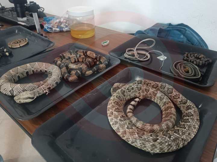 Impartieron taller “Conociendo juntos animales vitales para el ser humano, pero poco valorados” en centro de Pilares