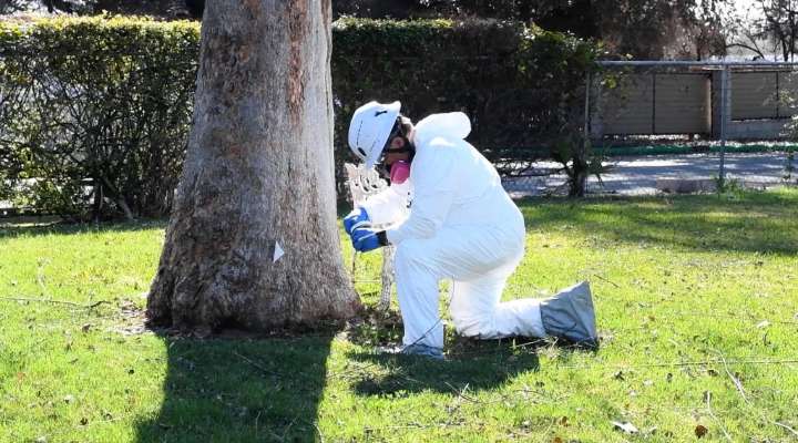 LA County final report confirms elevated lead in soil downwind from Eaton fire