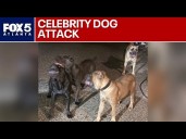 Police: Tyrese Gibson's dogs attack, kill neighbor’s dog