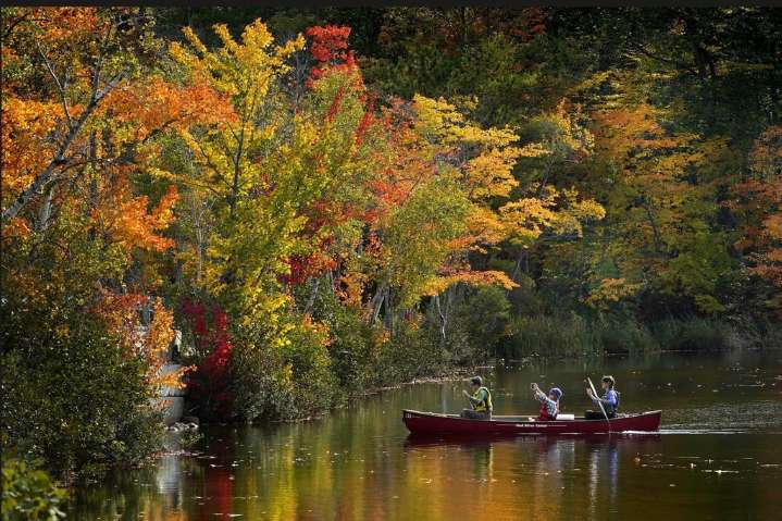 Day and night get equal billing Monday as fall equinox arrives. Here’s what to know