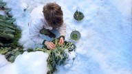 The Self-Seeding Vegetable You Should Plant In September To Harvest All Winter