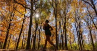 Fall 2025: Canada droughts may mean less colourful leaves