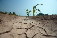 Déficit de lluvias marca un invierno frío y proyecta primavera seca y calurosa 