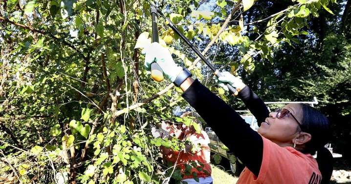 Day of Caring project readies a home for the homeless