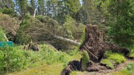 Evers asks Trump for Door County disaster declaration for Aug. 9 storm damages