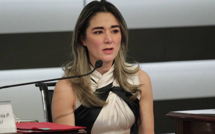 Proceso administrativo contra consejeros del INE pone en riesgo autonomía: Ravel