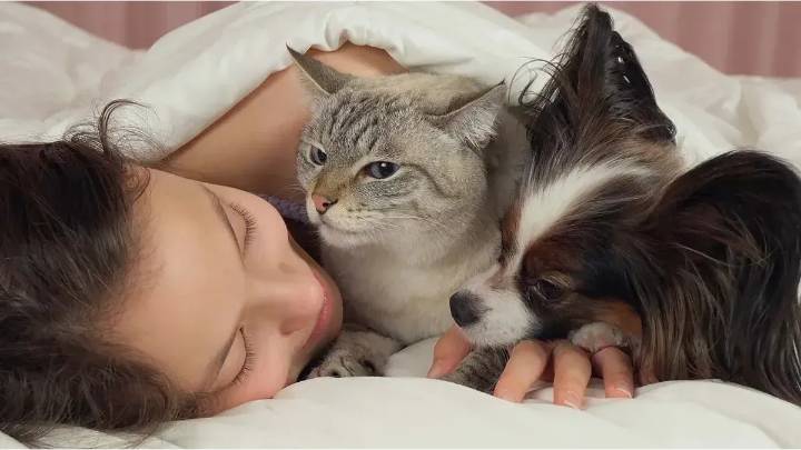 ¿Dormís con tus mascotas? Estos son los riesgos ocultos que deberías conocer según los veterinarios