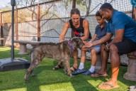 Ling & Louie’s partnering with Foothills Animal Rescue to raise money for animal adoptions
