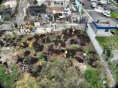 Recuperan y reforestan Áreas de Valor Ambiental en Mixcoac y Becerra Tepecuache