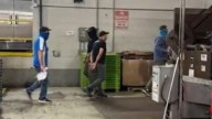 Video shows alleged ICE operation at Circa in Foggy Bottom