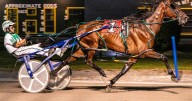 Batavia features go to Davey Day Trader and Treasured Tee