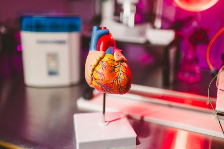 Científicos de EE.UU. crean una IA que busca prevenir infartos oyendo los latidos
