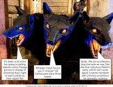Two heads are better than one is so last century, agrees Cerberus conference