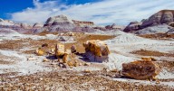 Visita el Parque Nacional del Bosque Petrificado en Flagstaff