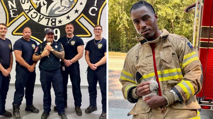 Atascocita firefighters save kitten from storm drain