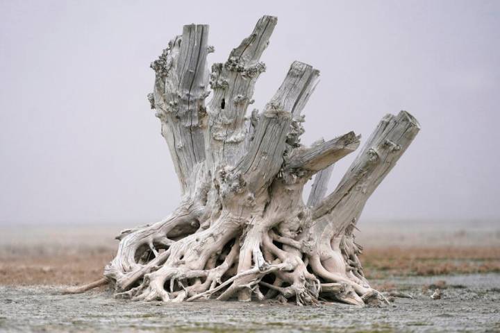 Cox announces effort to stave off saline failure in Great Salt Lake