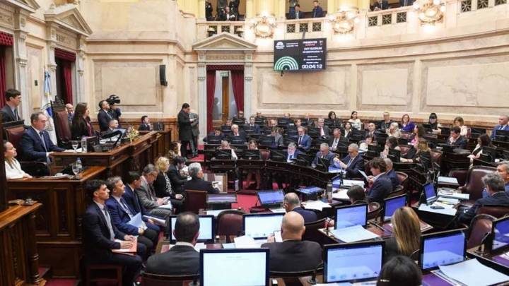 ATN: el Senado rechazó el veto al reparto de fondos y el Gobierno apuesta a Diputados