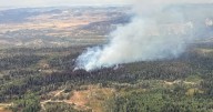 Yellowjacket Fire sparks felony charges for five suspects arrested in Rio Blanco County