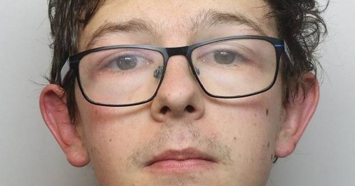 Midlands paedophile, 28, asked schoolgirl for naked pictures