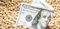 El precio de la soja da un salto en el mercado local