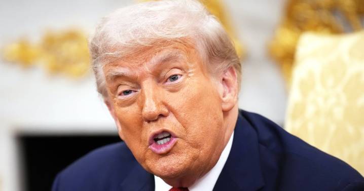 CNN Host Kaitlin Collins Tears Apart President Donald Trump’s Claim He Doesn’t Have ‘Revenge List’
