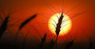 Drought deepens in Eastern Canada: monitor