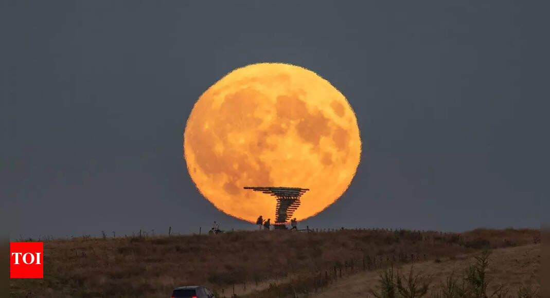 Harvest moon 2025: When, where and how to witness the rare autumn full moon lighting up skies worldwide this October; check visibility in India