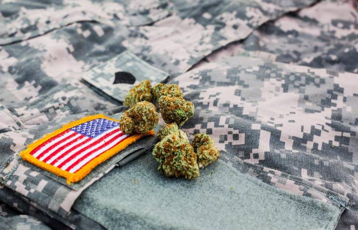 How Veterans Save on Weed in New York: Discounts, Brands, and Where to Shop