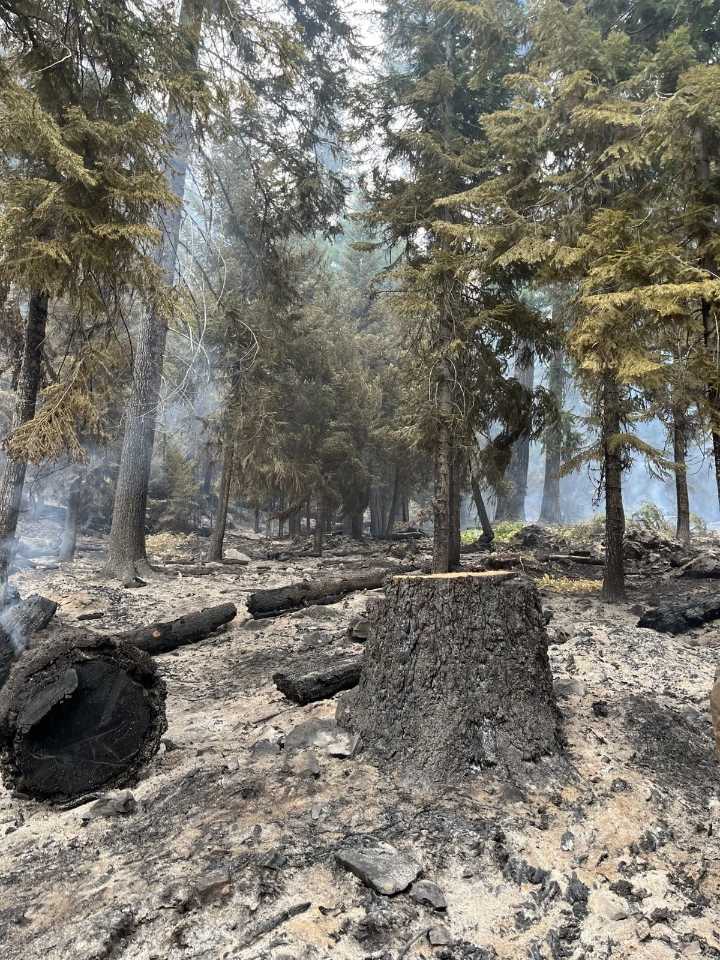 Wildcat Fire in Yakima County at 8% Containment Near Bumping Lake