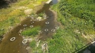 BREC receives grant money to clean up illegal tire dumping in Monte Sano Park