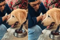 Bozo, The Golden Retriever, Is The Real Star Of Ali Fazal’s Latest Snap