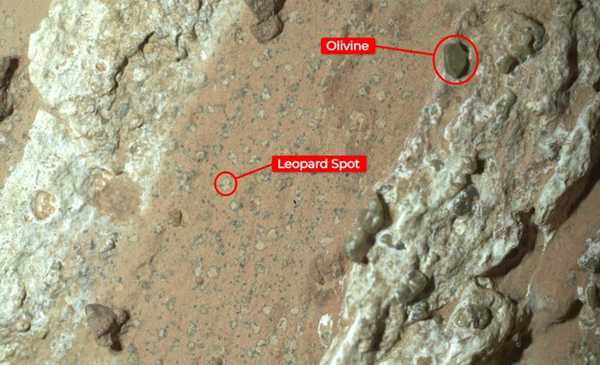 Asombro por la roca que la NASA encontró en Marte y cambia todo