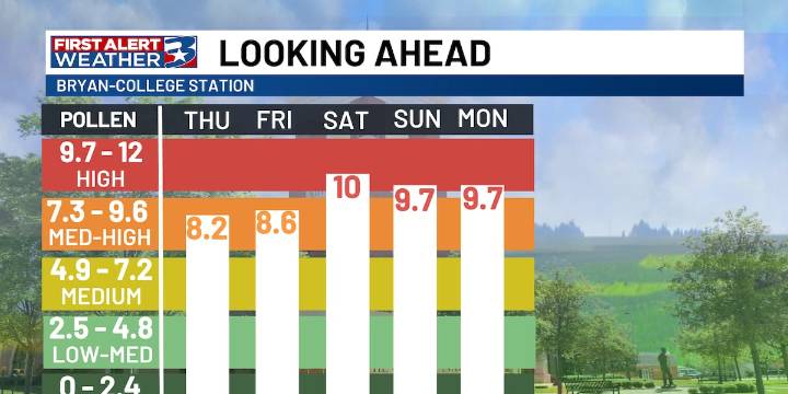 Brace yourself: Ragweed season is nearing full force