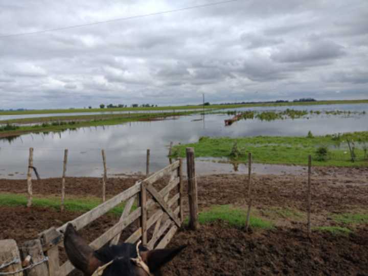 Prorrogan el estado de Emergencia y Desastre Agropecuario para 9 de Julio