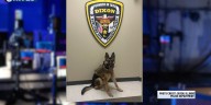 Dixon K-9 receives bullet, stab protective vest