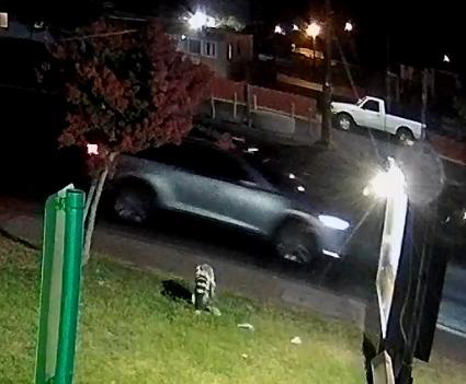 California authorities seek information on 2022 double homicide possibly connected to Las Vegas