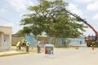 Alcaldía del municipio Falcón avanza en el mantenimiento de vías y sistemas eléctricos