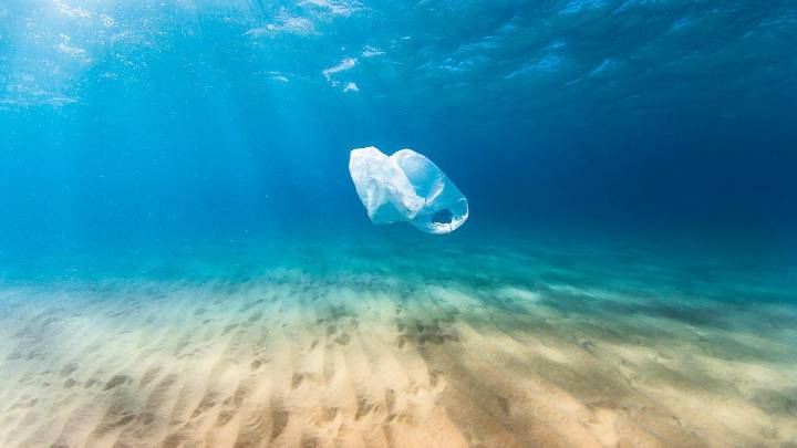 Plastic bags can be turned into sensors for safe drinking water