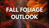 AST Blog: Recent rain boosts Arkansas foliage outlook