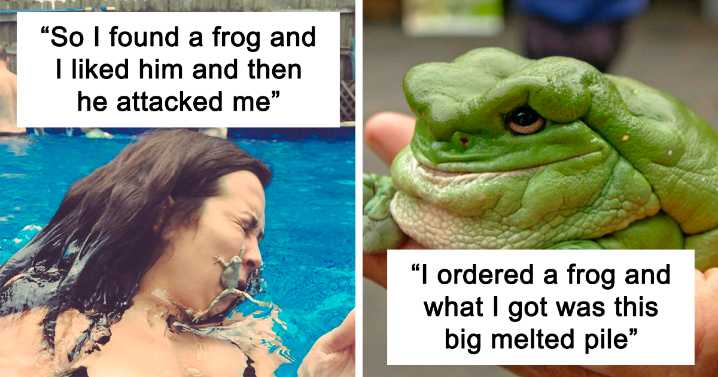50 Adorable And Funny Frog Pics To Make Your Day Better